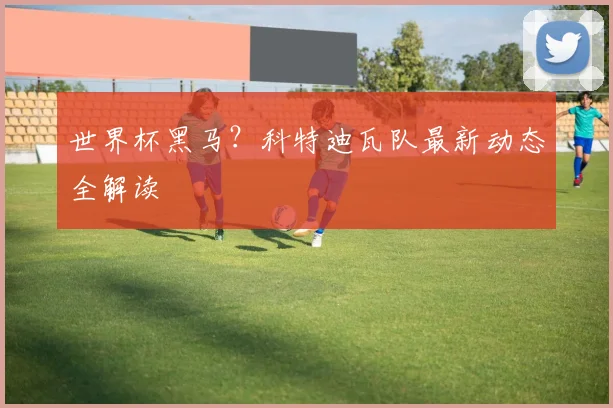 世界杯黑马？科特迪瓦队最新动态全解读
